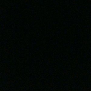 Meet your Posher, Kenny